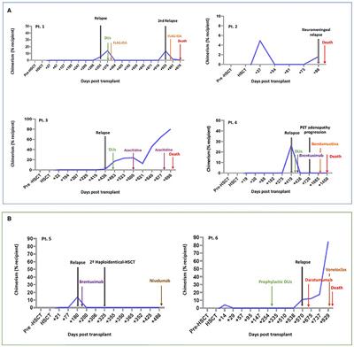 Clinical Utility of the Detection of the Loss of the Mismatched HLA in Relapsed Hematological Patients After Haploidentical Stem Cell Transplantation With High-Dose Cyclophosphamide